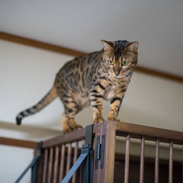 D06fd2fa 73af 433d a6c5 0c724483b6bd 1518536504798