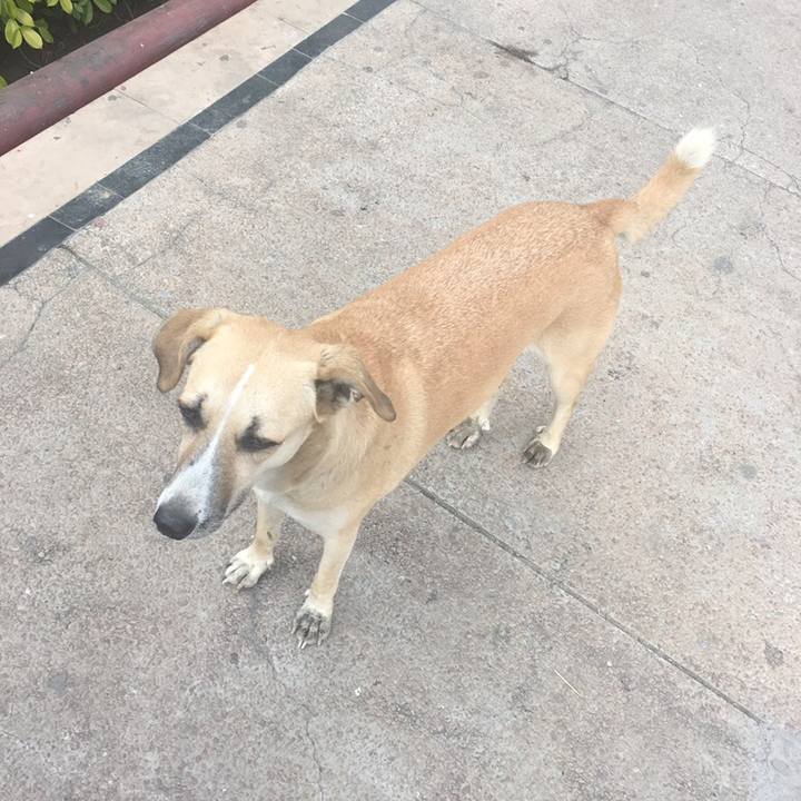 D06fdcfa 58e8 4ead bed2 db2b5318bcd1 1550586703171