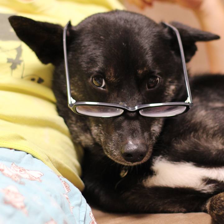 D06fe92e 52e7 4ad9 962d 3b87d13e472e 1535895583324