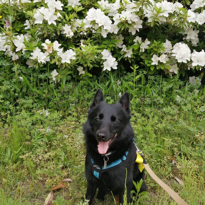 D06ffeab ed6f 4486 be8e 4788cfccee87 1651185426535