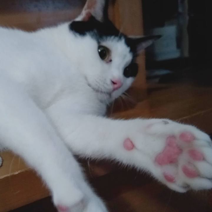 D0701b30 33c4 4cb8 b5b7 eec79d0f0ff9 1569235260846