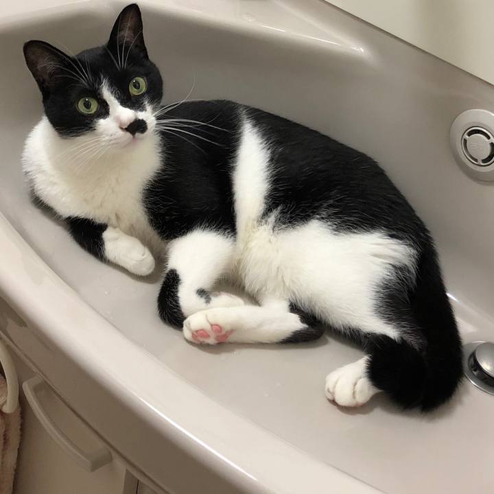 D070aa29 3be3 4307 9898 0f424f513598 1534029724893