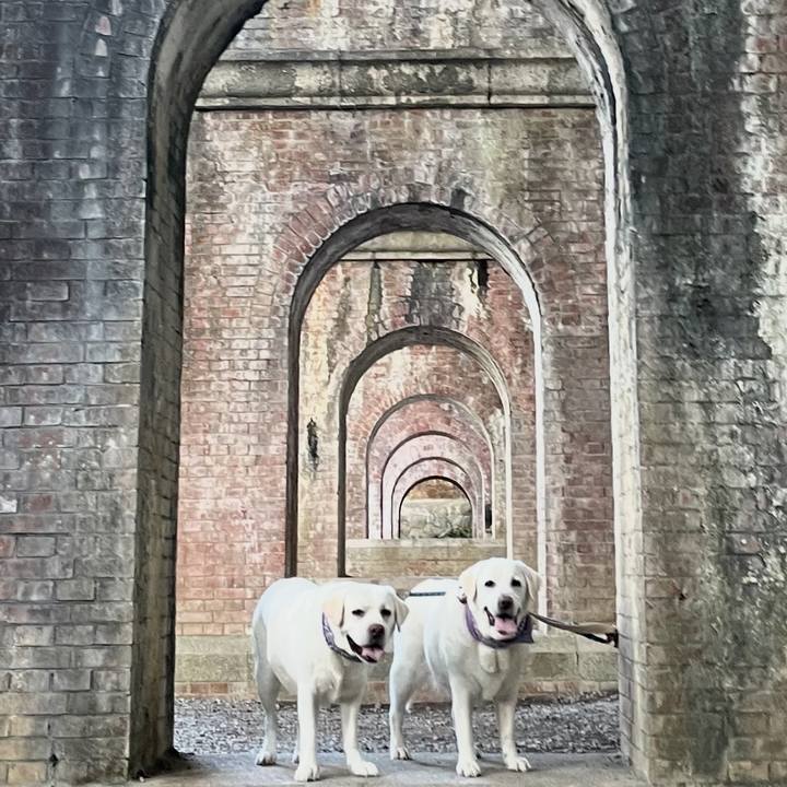 D070b344 7d01 4190 802f 62858fb05e6c 1764222438108