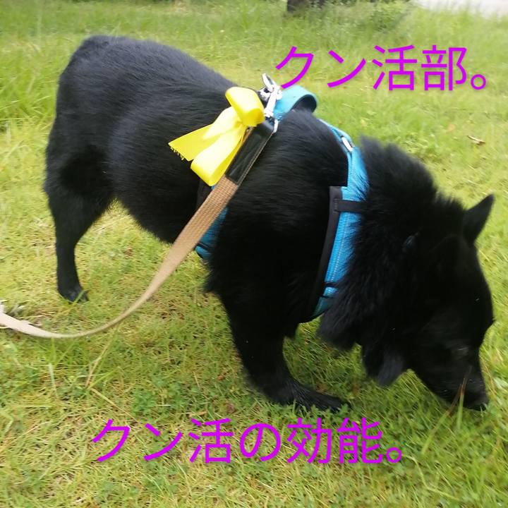 D070cf3f d184 40b0 a679 d69402170556 1659744081852