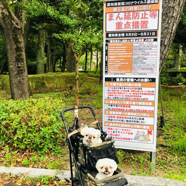 D0711519 cff3 4e30 a942 a3528d774538 1628552998448