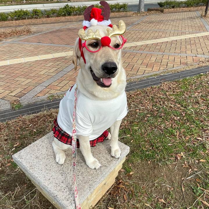 D0713bb1 9a5b 4ce9 94a8 bb168fd6a6d7 1639136473927