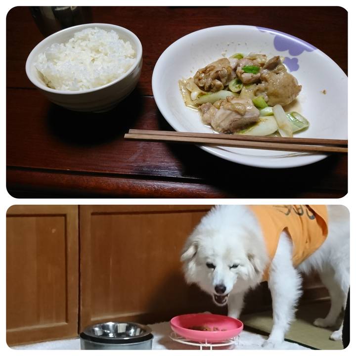 D0714405 7951 430c 8bf0 8ba8aaf7a4a2 1549574393780