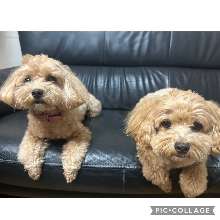 D0714d52 6528 410b ab8b 8e8680fdb94d 1693484663858