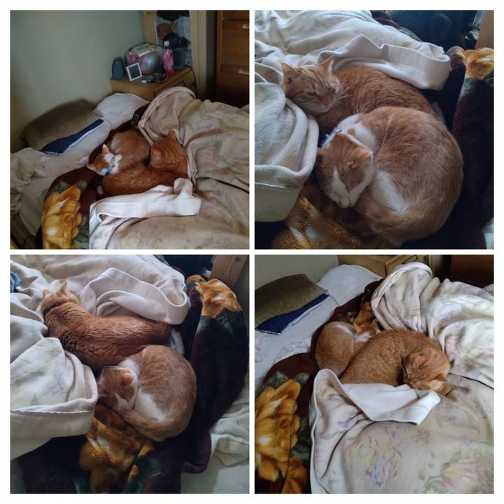 D071898f f92c 4f5e a01d 80e5f692f1c7 1736385840609