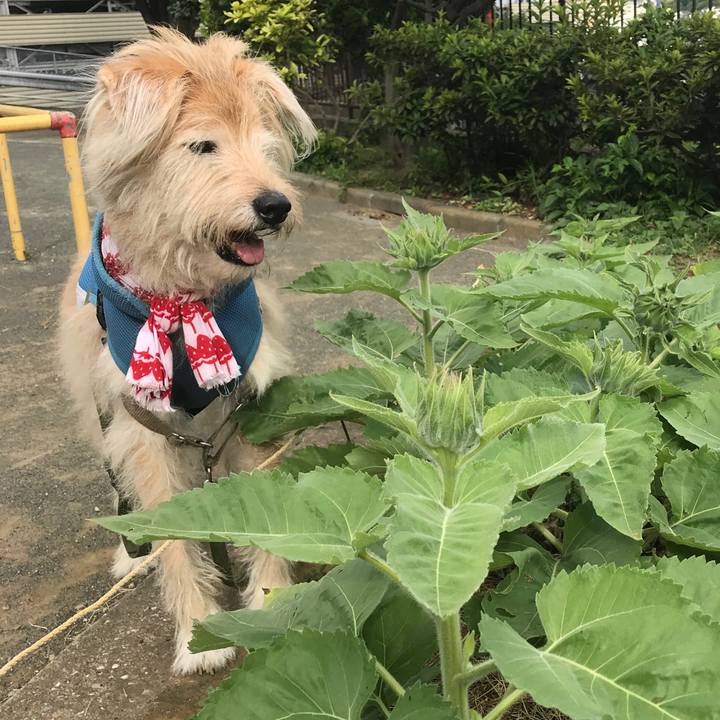 D071a019 2456 4fd9 a5a7 8085e0f34826 1627622191577