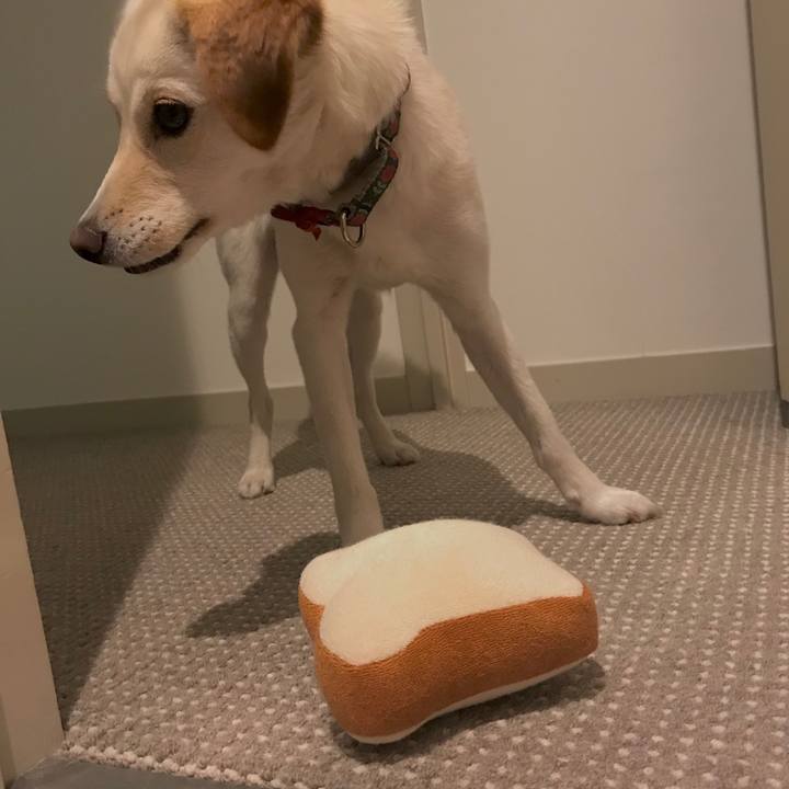 D071a271 3a24 400c 85cf 71137bfaa8f6 1527139792727