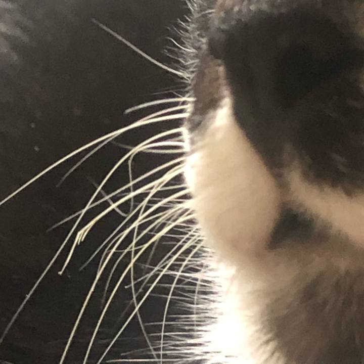 D071db31 ea8c 4a04 a46d f1ac3644a53a 1619246322736