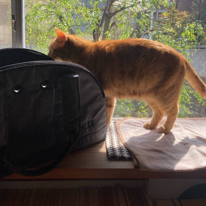 D071de2c efb4 4c77 94d7 3da70991e518 1743905559201