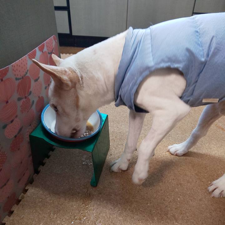 D071ebe6 6c0e 4d3d 878b 3c4580a6c1c6 1553381072822