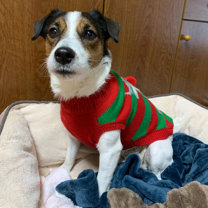 D07204eb 346f 47ec 886d 5ec4f3039e6a 1575064431486