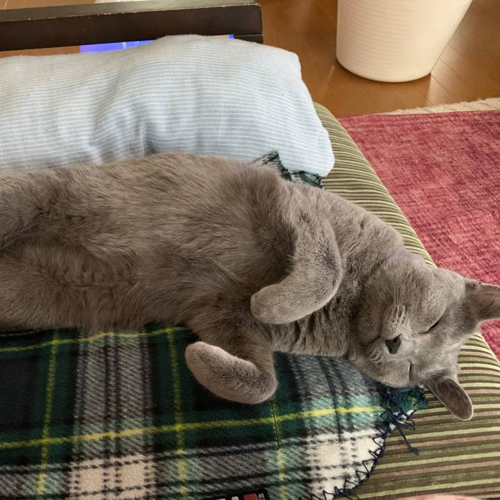 D07209d1 4d7d 47b3 a18a ba1682c58691 1586555600156