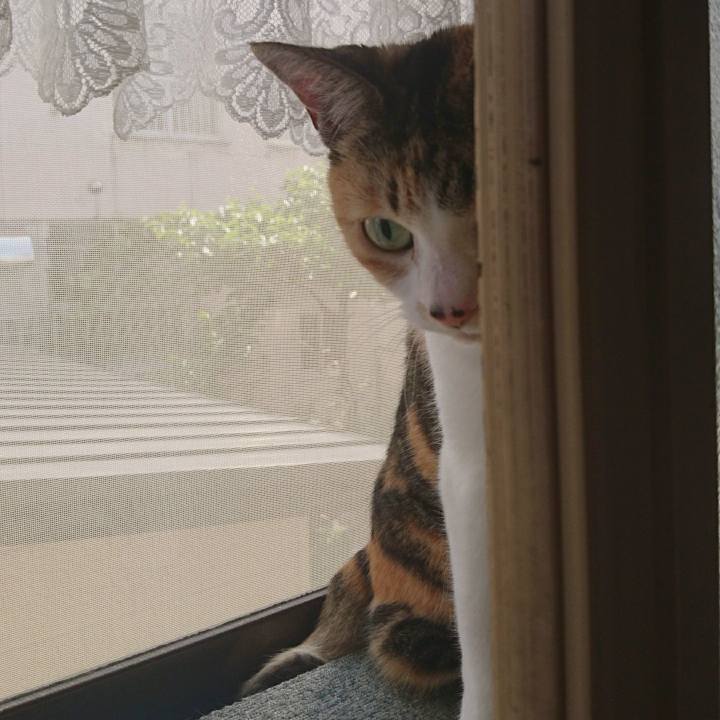 D0720b91 15d5 4212 94b2 808d415336e5 1625882140021