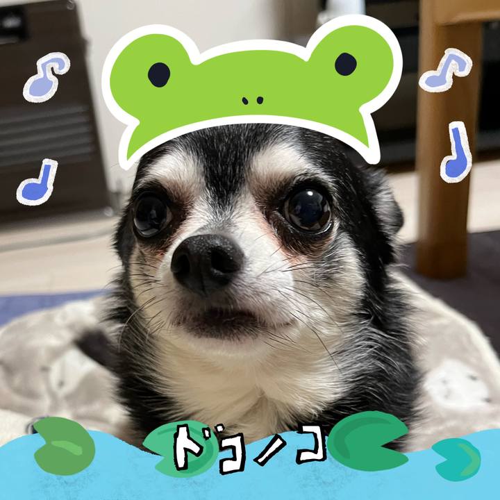 D07242d9 19d4 43a2 9668 dbe5a49fbcc0 1717586821320