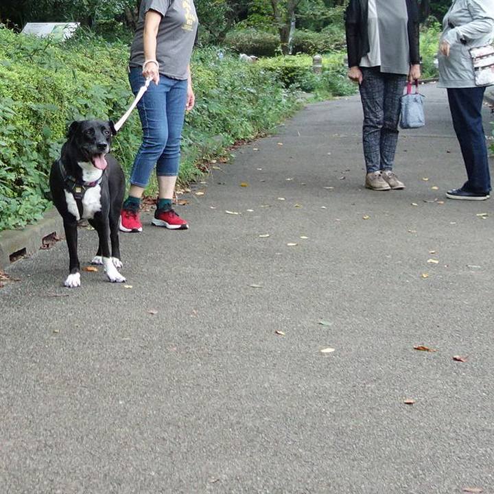 D07254bf d74a 4570 8c9a bd140025523e 1662855638004