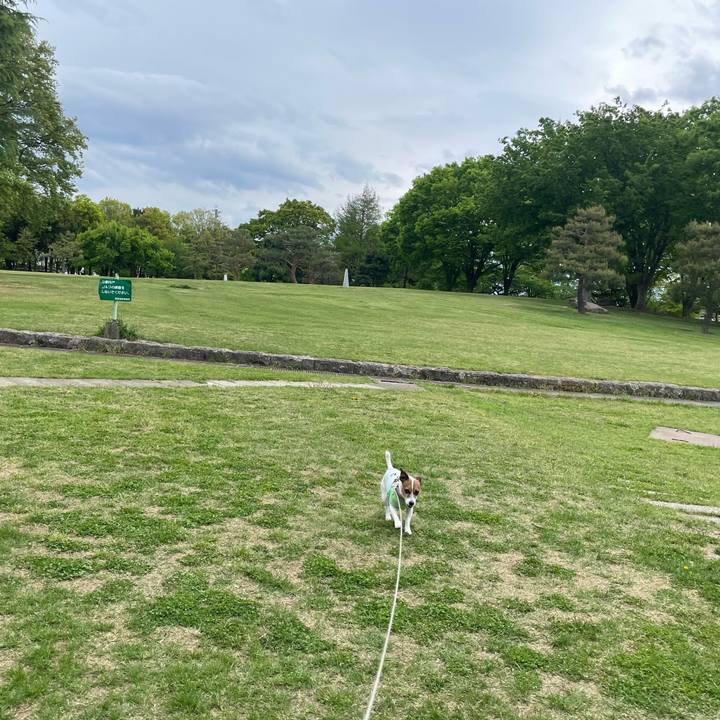 D07255bd 0724 4ea1 95d8 6e37974e333f 1746143708802