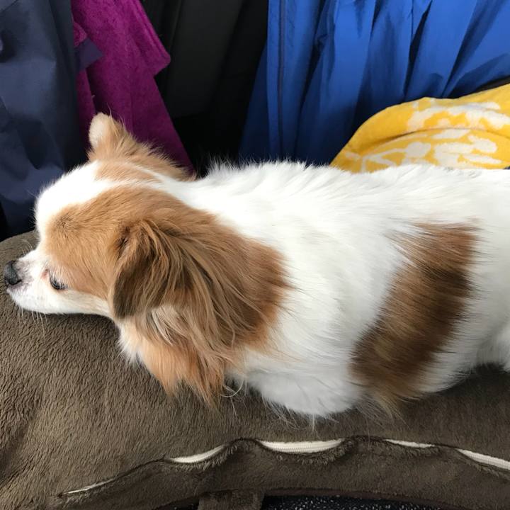 D07256b6 0b03 485b bc4d fa3720836e69 1556763571514