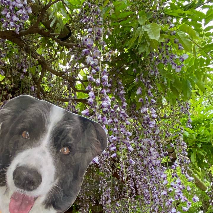 D0726a37 b0e7 48e1 9a24 0d9371007191 1746054289445