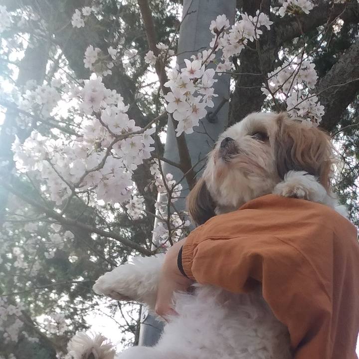 D0728476 d648 44e2 94ab d07c416ddad9 1617078132483