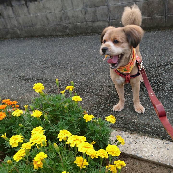 D072dd80 5548 4ec6 b5b8 f2100887cf20 1532295378122