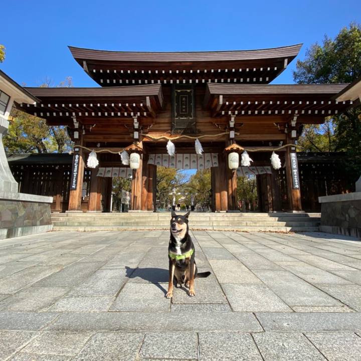 D072e192 944c 4765 a0ca cfe4c70b07df 1586052982791