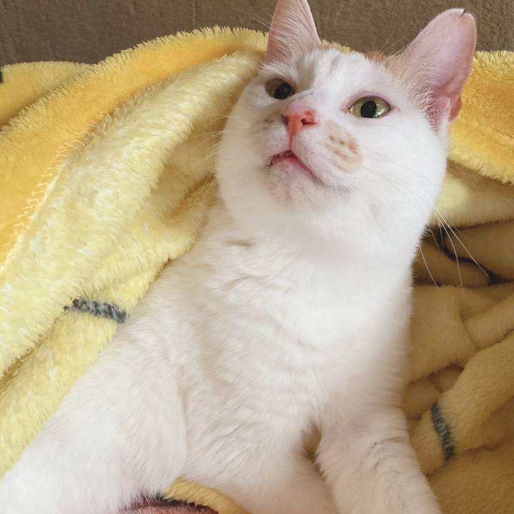 D0733455 673c 470a b6eb c22aa2828006 1617497270303