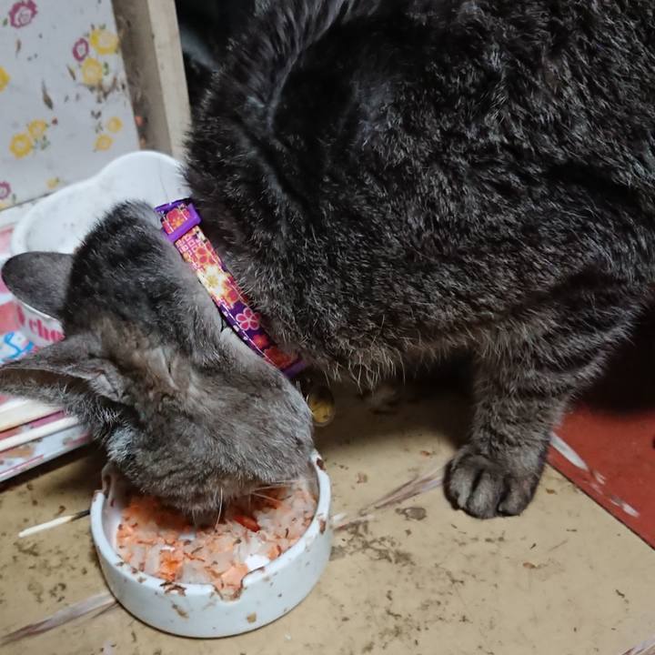 D0734bc9 b86b 4ac0 b468 804f793934c2 1584965017726