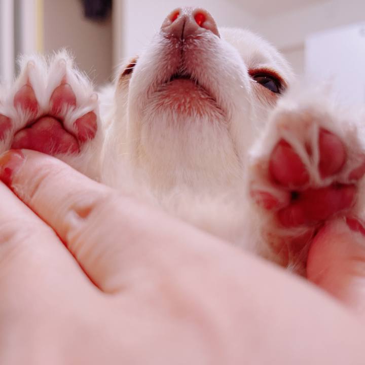 D07374be 14cb 4beb 8c9a d67cf9a1ebd4 1682940325899