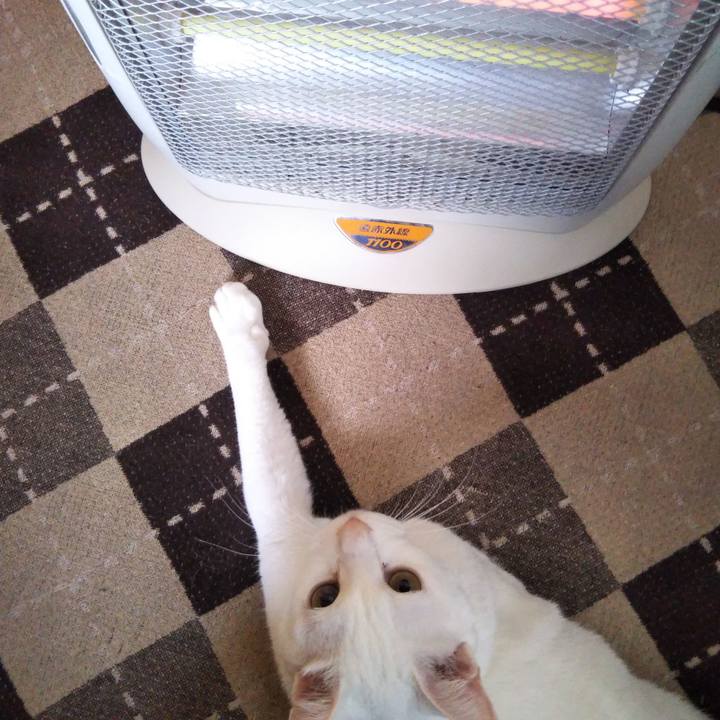 D07398f8 dfd6 4f3c ad71 a411bfcd86fd 1551246045031