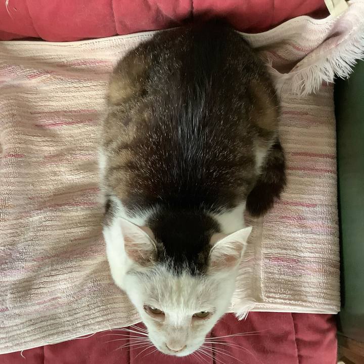 D073a5ae 18aa 42ca 9448 1efebd5c61e1 1594045420897