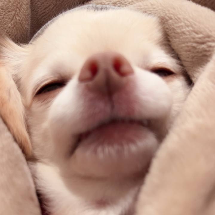 D073a9ad 6285 440a a441 b0ee2d26d9e9 1739920141661