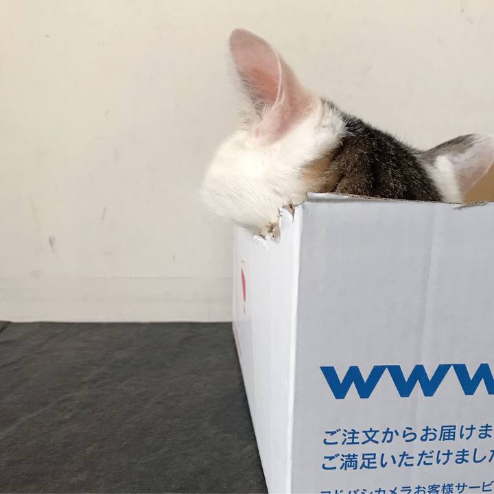 D073c95e 71cb 4f32 b4ad db6ca5cc5acf 1565077394310