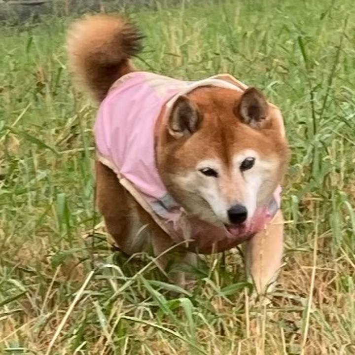 D073dabb 6cae 4dfe 8da2 bd479bafbca3 1656917171936