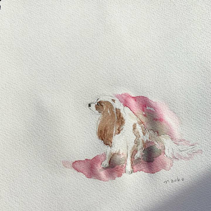 D074069f 9210 4a16 ad6b 7b7a5b385e0b 1571813406314