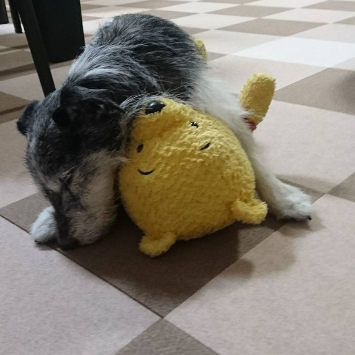 D0741690 f06a 4900 aacd 89e0c92914a0 1541863720105