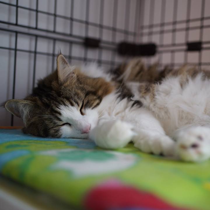 D0742b03 5cd1 4b1a 8c9b 0678d2ffd022 1590910642774