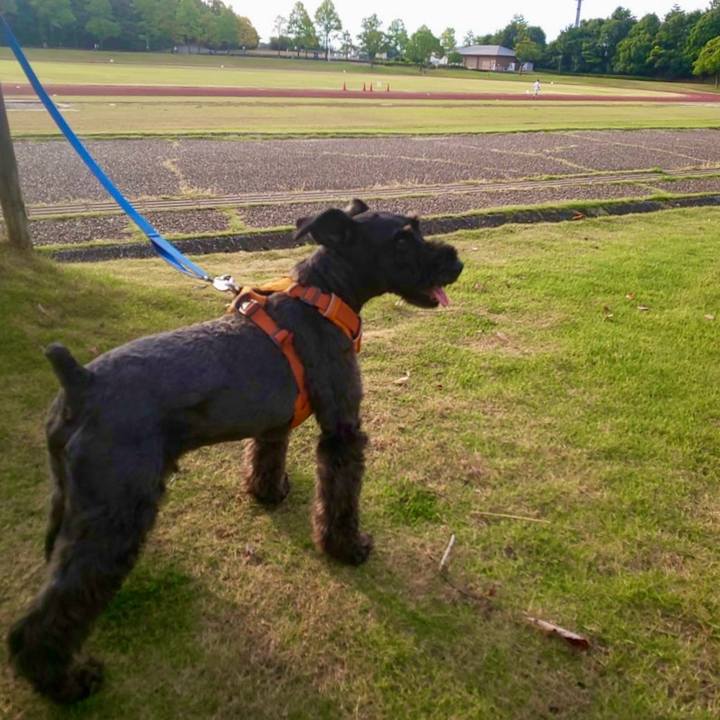 D07444b4 37eb 44cf bd75 a5524f54a2da 1754690954452