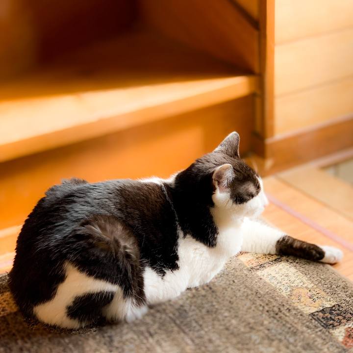 D0749944 870d 4c7d 93e1 7a15c2c6898c 1593740303115