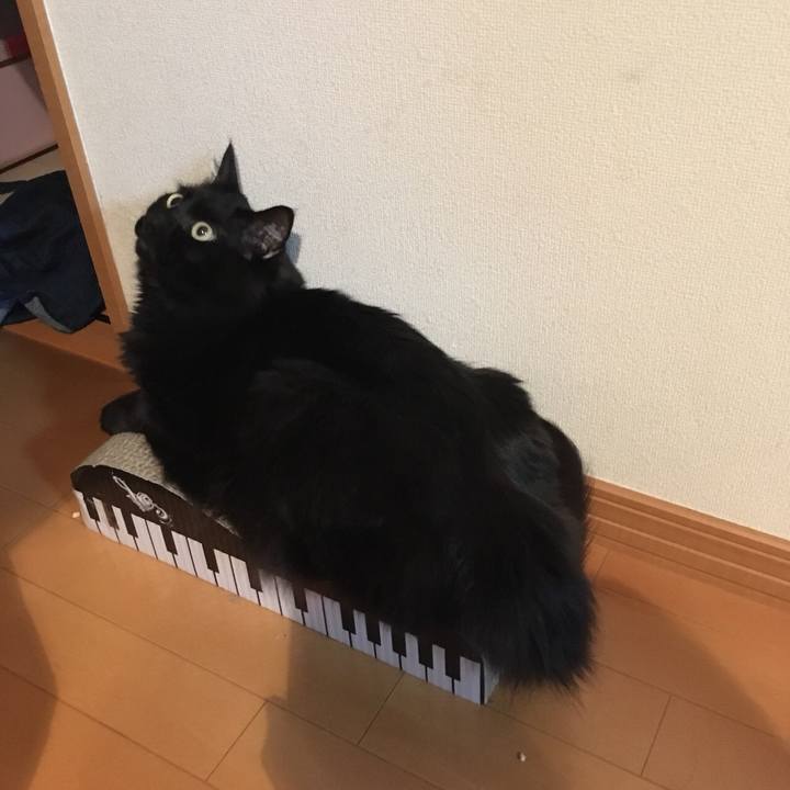 D074c8a5 82e4 4d4f ba2f 80cf0f69935f 1526944766506