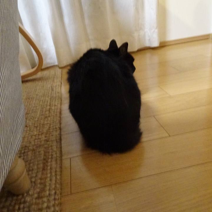 D074da74 63d4 48cb 9bfa 2b4c85554dbb 1525364028736