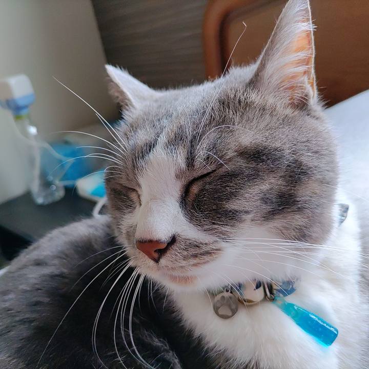 D07511d4 5702 400b b330 c7be571c1de0 1685915774014