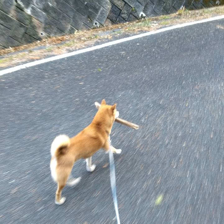 D07535fe 8b0e 4774 8ebc 3e517775d87a 1546247537582