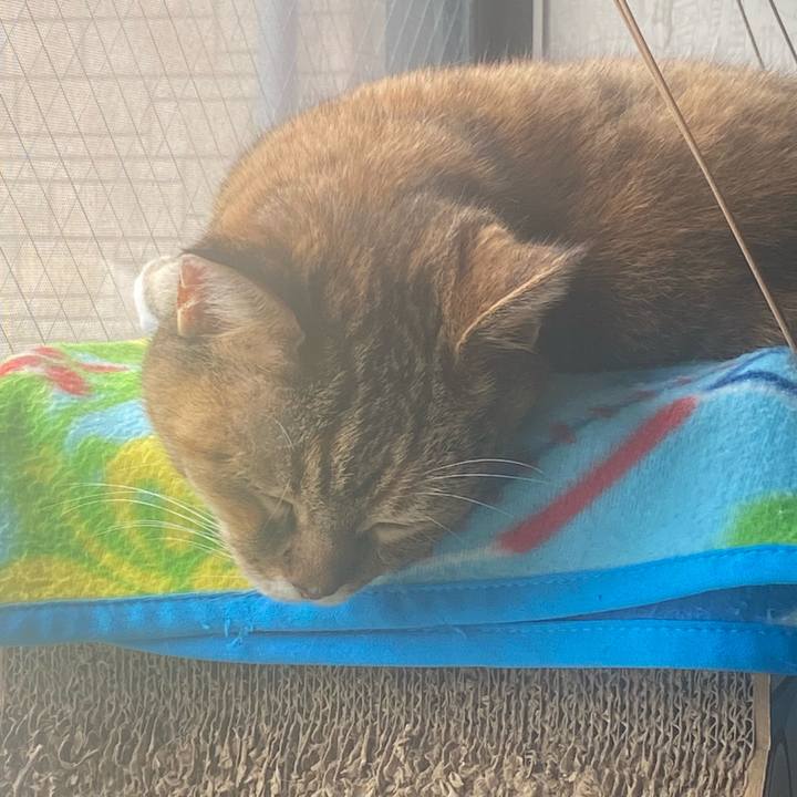 D0753bc1 2129 45a4 9716 d1b3058e2114 1746327169293