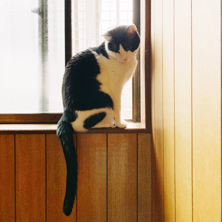 D075570e a6a7 4a95 af0e bc0c430f219d 1555553730192