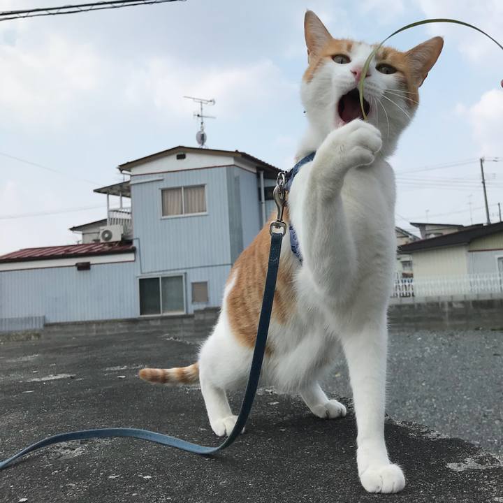 D0755d80 f102 40e0 b26f 2485961229a3 1521954603134