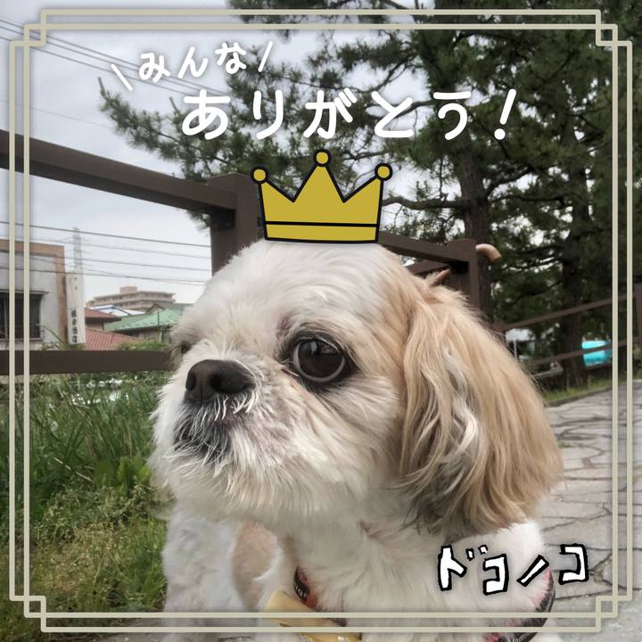 D0759e80 345e 4561 8d8b b4d9e1a9f833 1623015811643